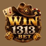 win1313 game