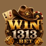 win1313 game