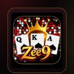 zee9 game